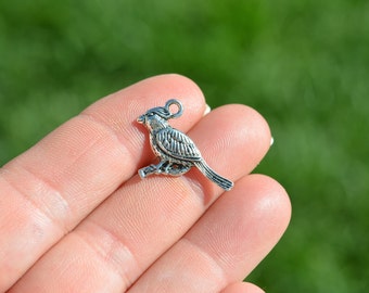 BULK 20   Cardinal Bird Silver Tone Charms SC5527