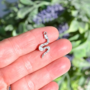 May include: A silver snake charm with a loop for attaching to jewellery. The snake has a curved body with dotted and patterned markings. The charm is held in a hand against a blurred background of greenery.