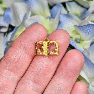 BULK 50  Bible Gold Tone  Charms GC2321