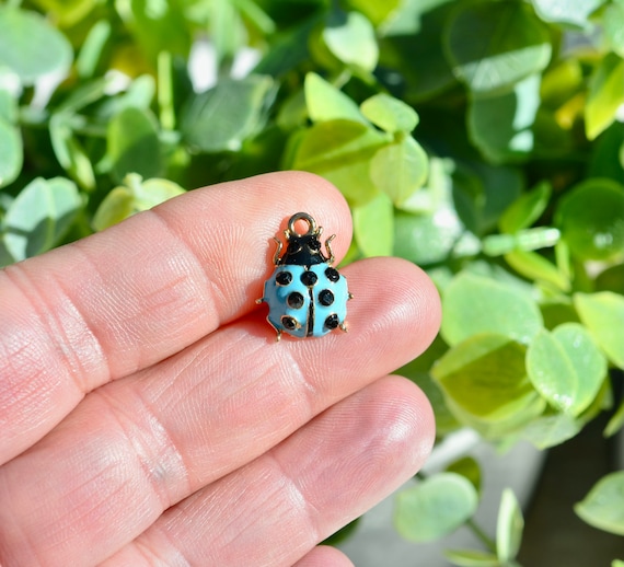 Ladybug - Blue Ocean Entertaiment Portugal