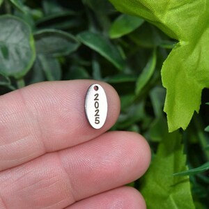 May include: A silver oval charm with the year 2025 engraved on it.