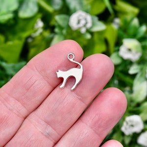 1  Cat Silver Tone Charm SC3620