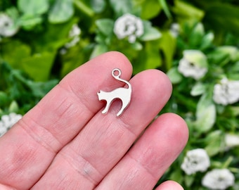 1  Cat Silver Tone Charm SC3620