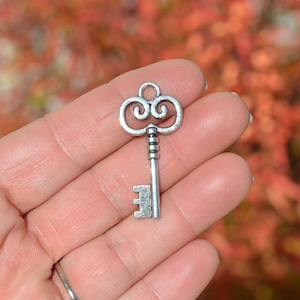 ミッチー様　ご購入分　ヴィンテージチャーム BULK 50 Old Fashioned Key Silver Tone Charms SC6334 - Etsy
