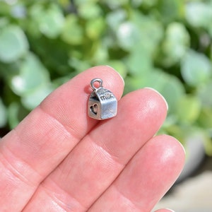 BULK 20 MILK Silver Tone Charms SC6025