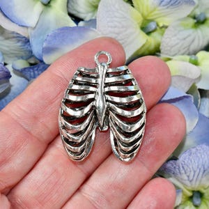 BULK 10 Anatomically Correct Silver Rib Cage Charms SC5805 - Etsy