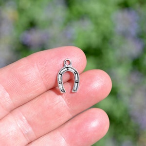 May include: Silver-toned horseshoe charm with a smooth, polished finish. The charm is small and delicate, perfect for adding a touch of luck to jewelry or crafts.