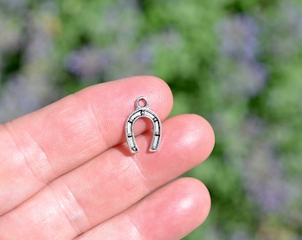 1  Horseshoe Silver Tone Charm SC3030