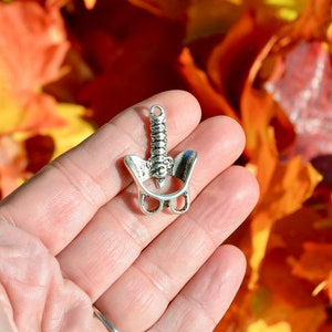 1 Human Anatomy Pelvis Charm SC6543