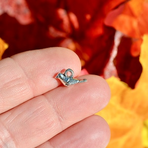 May include: A silver charm in the shape of a bird with a small loop for attaching to a necklace or bracelet.