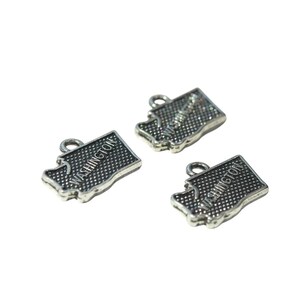 BULK 20 State of Washington Silver Tone Charms SC2141 image 3