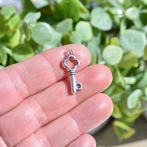 1 Skeleton Key Silver Tone Charms SC3244