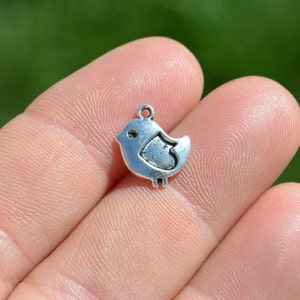 5 Little Baby Chick Silver Tone Charms SC3524 image 1