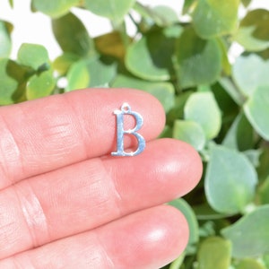 1 Stainless Steel Beta Greek Letter  Charm SC7014