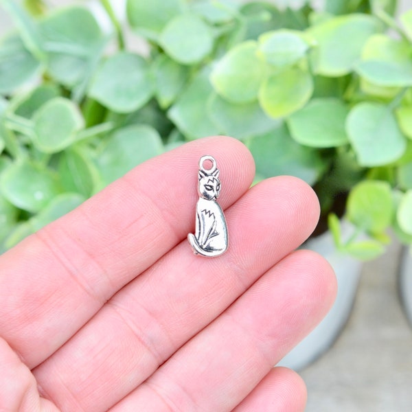 1  Cat  Silver Tone Charm SC1419