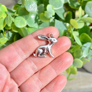 5  Bunny Rabbit  Silver Tone Charms SC2645