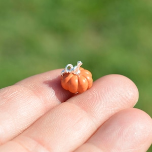 May include: A small orange pumpkin charm with a silver loop for hanging. The charm is about the size of a ten pence piece.