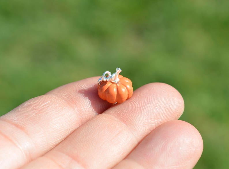 May include: A small orange pumpkin charm with a silver loop for hanging. The charm is about the size of a dime.