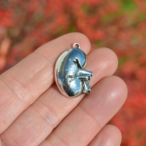 BULK 20 Anatomically Correct  Silver Tone Kidney Charms SC5131