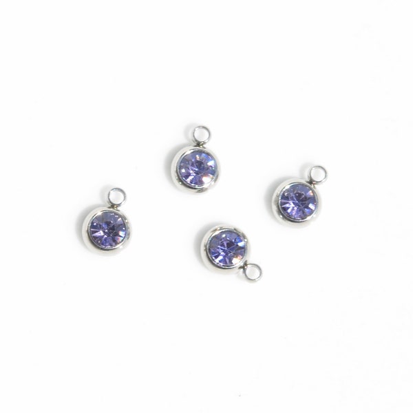 1 Light Amethyst Purple,  Stainless Steel and Glass Birthstone Drop Charm SC5400