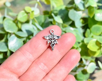 BULK 20   PTA Physical Therapist Assistant Medical Silver Tone Charms SC5644