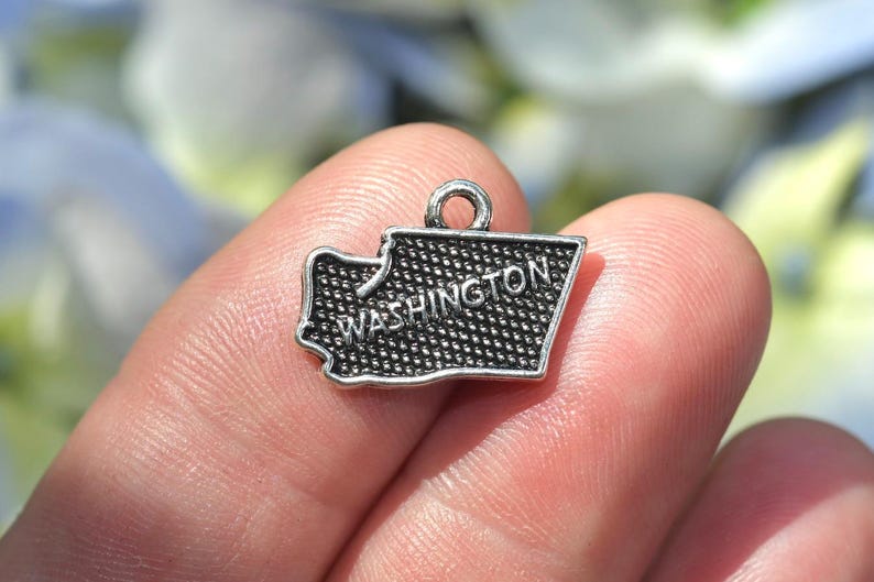 1 State of Washington Silver Tone Charm SC2141 image 7
