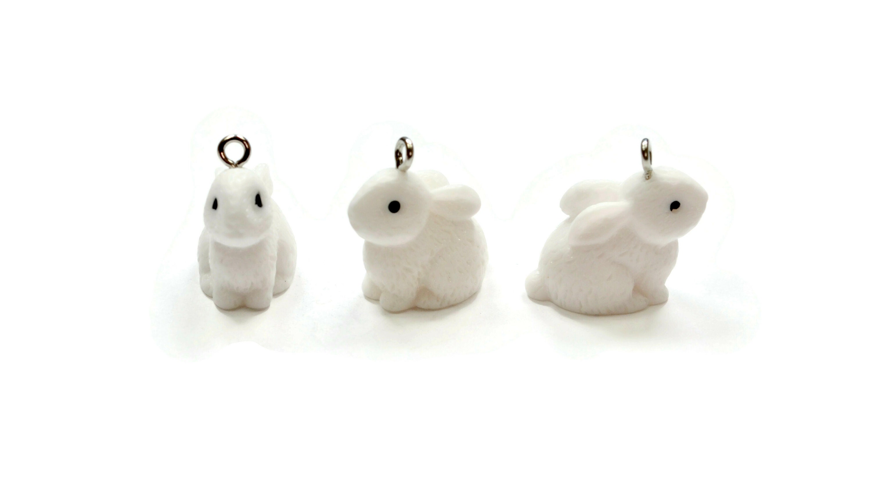 Rabbit♡　1005 il_fullxfull.3673700549_qz1m.jpg