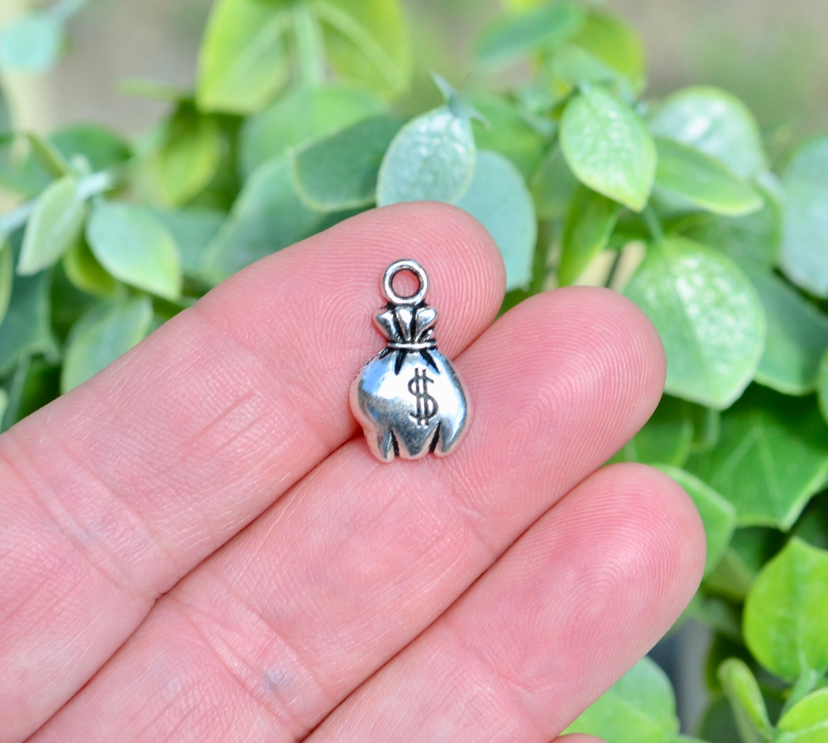 Money bag charm hotsell