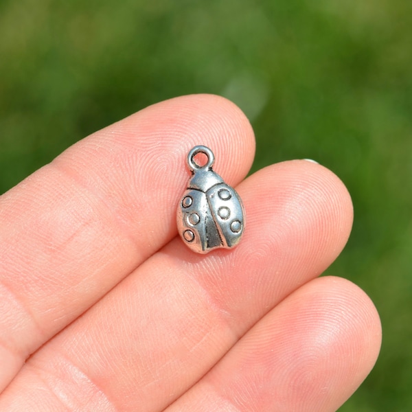 1   Ladybug Silver Tone Charm SC6788