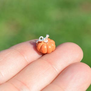 May include: A small orange pumpkin charm with a silver loop for hanging. The charm is about the size of a fingernail.