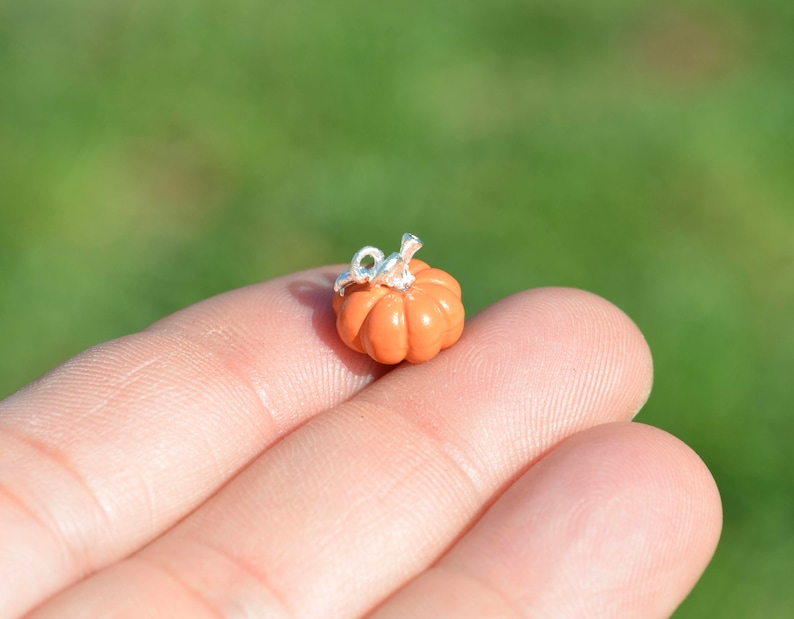 May include: A small orange pumpkin charm with a silver loop for hanging. The charm is about the size of a fingernail.