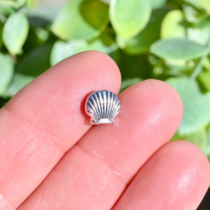 10   Clam Shell Shaped Silver Tone  Beads  BD910