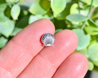 May include: A silver seashell charm with a detailed design. The charm is small and would be perfect for jewelry making or crafting.