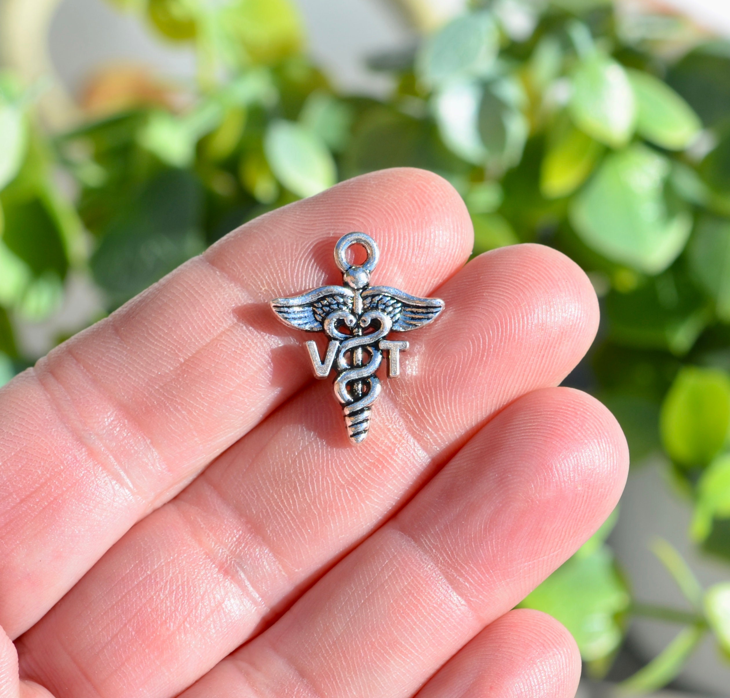 Silver Charms for Vet Technicians