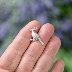 May include: Silver charm of a bird perched on a branch. The bird has a detailed design and a small loop at the top for attaching to jewellery.