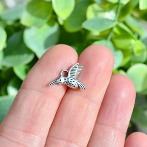 May include: Silver hummingbird charm with a detailed design. The charm is small and perfect for adding a touch of nature to jewelry or crafts.