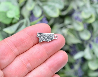 5  State of Mississippi Silver Tone Charms SC6053