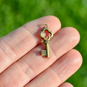 10 Tiny Skeleton Key Antique Bronze   Charms BC4040
