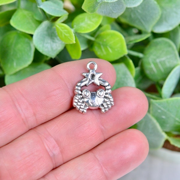 5 Cancer Zodiac  Silver Tone Charm SC2268