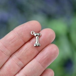 May include: A silver charm in the shape of a bone. The charm has a loop at the top for attaching to a bracelet or necklace.