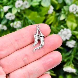 May include: Silver charm in the shape of two chili peppers. The peppers are detailed and have a textured surface.