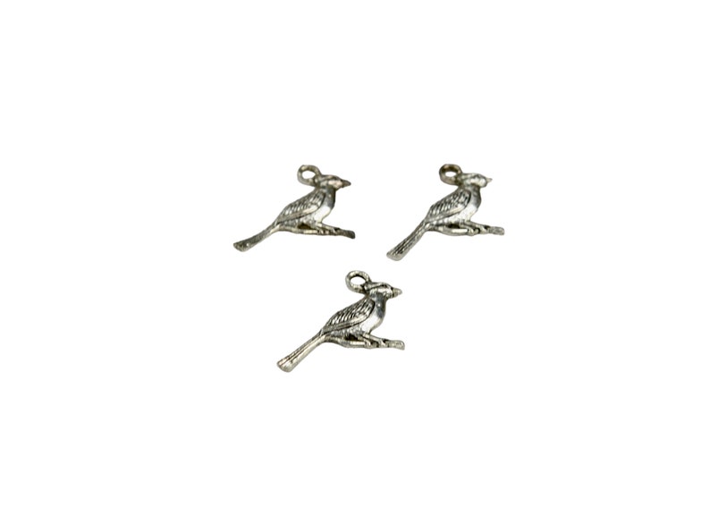 K&ouml;nnte beinhalten: Drei silberne Vogel-Anh&auml;nger mit detaillierten Fl&uuml;geln und Schn&auml;beln. Die Anh&auml;nger sind perfekt, um Schmuck oder Bastelarbeiten mit einem Hauch von Verspieltheit zu versehen.