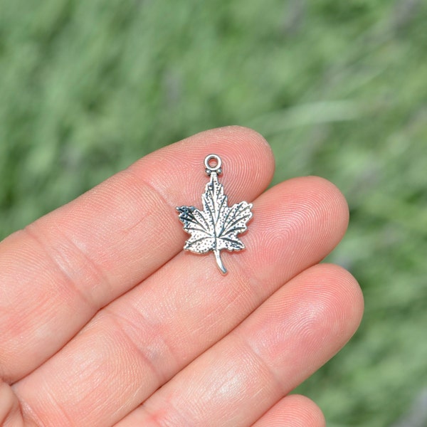 BULK 50  Maple Leaf Silver Tone Charms SC2417