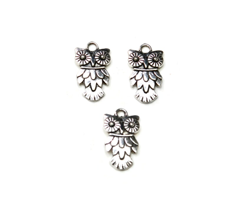 10 Owl Silver Tone Charms SC1390 image 3