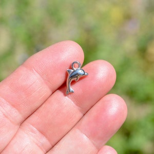 May include: A small, silver-colored dolphin charm with a loop at the top for attaching to jewelry. The dolphin is depicted in a leaping pose, with its tail curved and its body streamlined. The charm is held in a person's hand against a blurred green background.