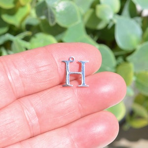 1 Stainless Steel Eta Greek Letter  Charm SC7023