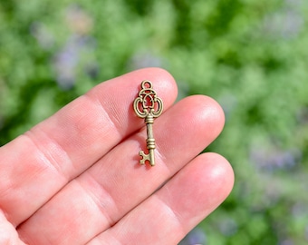 1 Skeleton Key Bronze Tone Charm BC3207