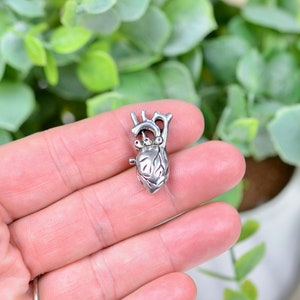 May include: A silver anatomical heart charm. The charm is detailed and realistic, with a textured surface.