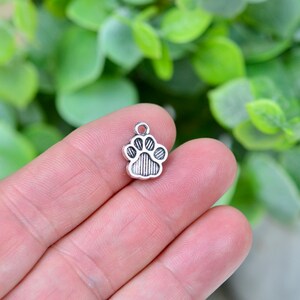 10 Dog Paw Silver Tone Charms SC6550