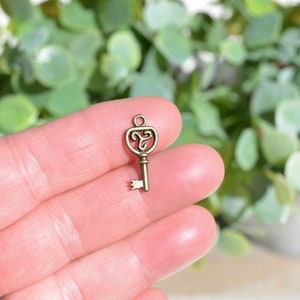 10 Skeleton Key Bronze Tone Charms BC2031